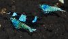 DSC_0592.jpg