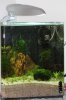 30 Liter Nano Cube 3.jpg