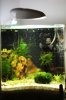 30 Liter Nano Cube 1.jpg