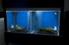 DSC08750.JPG