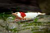 DSC08786.JPG
