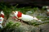 DSC08777.JPG