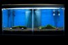 DSC08758.JPG