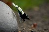DSC08788.JPG