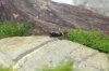 comp_IMG_0765.jpg