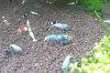 20120731_142720-1.jpg
