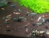 20120731_142309-1.jpg