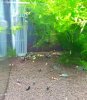 20120731_200840-1.jpg