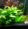 20120816_193329.jpg