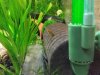 20120821_173054.jpg