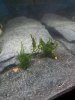 20120821_200936.jpg
