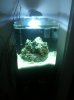 Foto 11.jpg