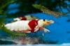 DSC09187.JPG