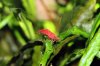 k-IMG_1879.JPG