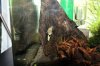 k-IMG_2841.JPG