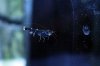 k-IMG_2977.JPG