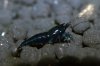 k-IMG_3000.JPG