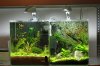 Aquarienregal15.jpg