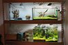 Aquarienregal12.jpg