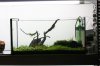 Aquarienregal19.jpg