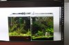 Aquarienregal20.jpg