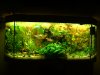 Juwel 2012 060 - Kopie.JPG