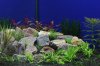 AquarienregalBecken4.jpg