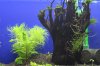 AquarienregalBecken5.jpg