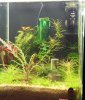 AquarienregalBecken9.jpg