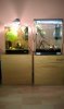 IMAG0258.jpg