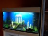 aquarium1.jpg