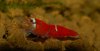 DSC_0745.jpg
