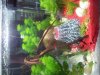 20120920_101542.jpg