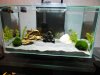 DSC01625.JPG