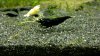comp_2012-09-01-4028.jpg