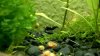 comp_2012-09-16-4466.jpg