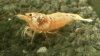 20120921_171252.jpg