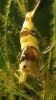 20120921_212706.jpg