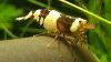 20120921_213022.jpg