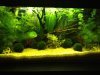Aquarium 2,1.jpg