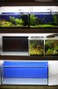 Aquarienregal1.jpg