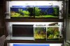 Aquarienregal3.jpg