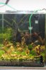 Aquarienregal4.jpg