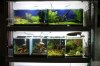 Aquarienregal5.jpg