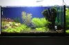 Aquarienregal7.jpg