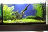 Aquarienregal8.jpg