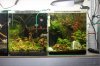 Aquarienregal9.jpg
