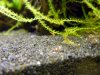 DSCN1178.jpg