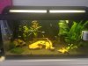 Becken2 (2).jpg