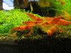 DSC02947.JPG
